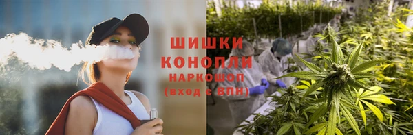 прущие крисы Белая Холуница