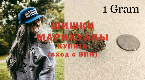 прущие крисы Новозыбков