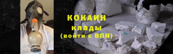 прущие крисы Новозыбков